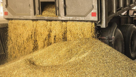 Казахстан продлил запрет на автомобильный ввоз пшеницы